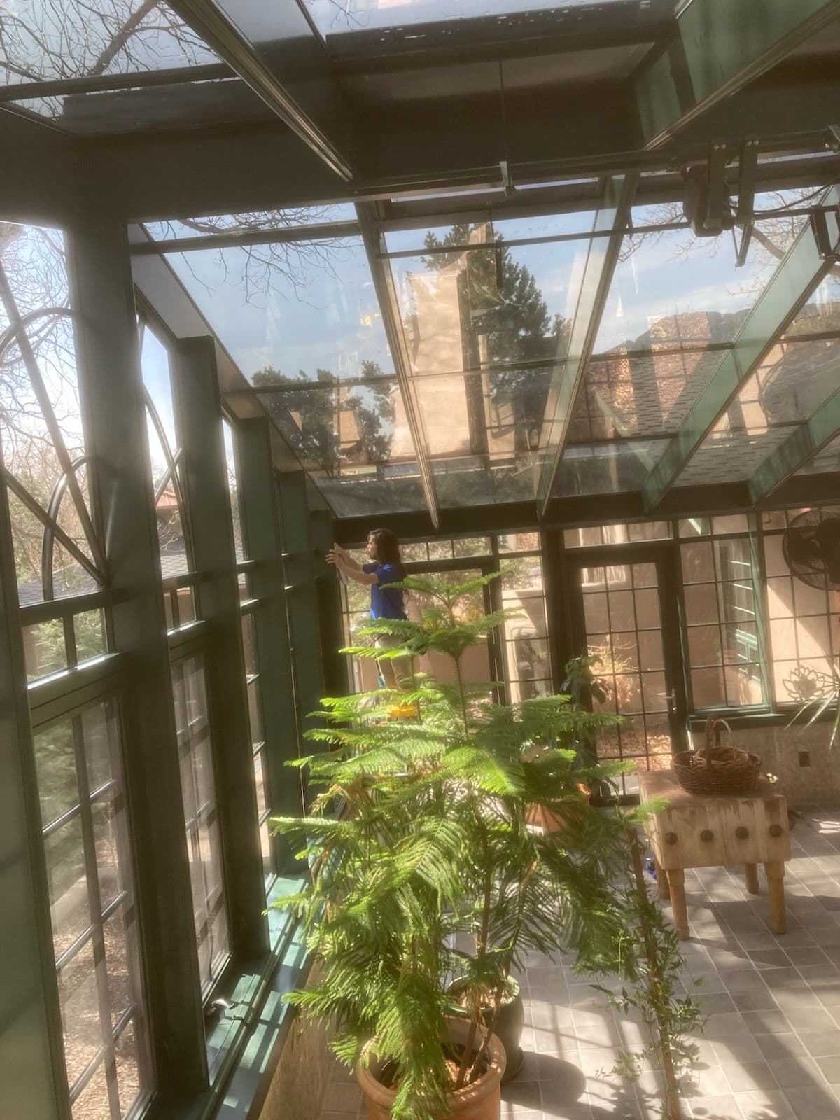 Project Window Transformation in Colorado Springs image